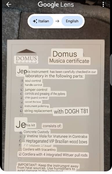 Domus Musica Original Violin 10