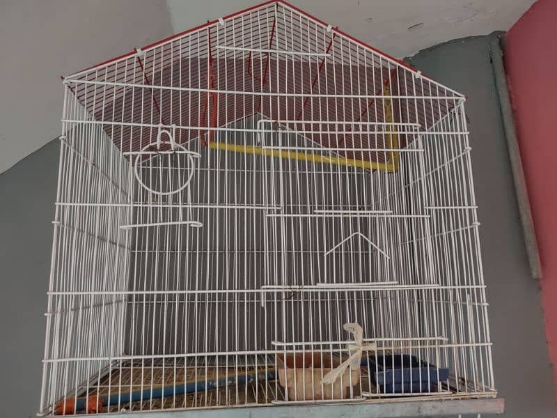 Birds Cage 4 Sale 0