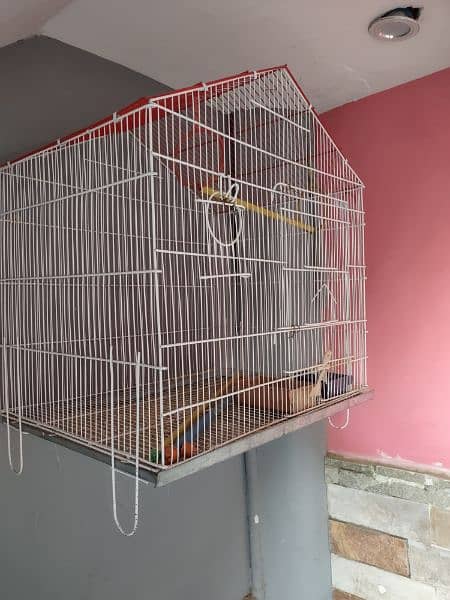 Birds Cage 4 Sale 2