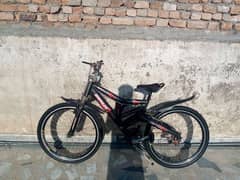 cycle . 0319 51 90 256