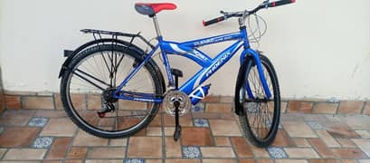 Phoenix Cycle For Sale