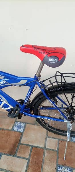 Phoenix Cycle For Sale 8