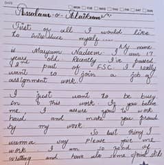 handwriting assignment work