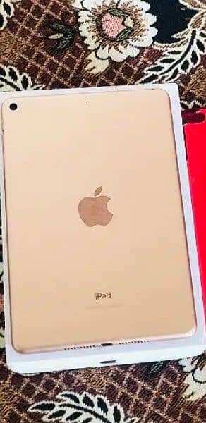 iPad Mini 5 0