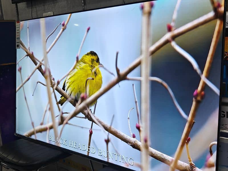 65  inch Q LED 4K SAMSUNG  new 4k model  03228083060 3