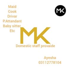 maid cook babysittir nanny Attendant driver etc