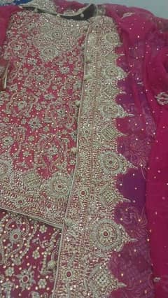 bridal lehnga shocking pink