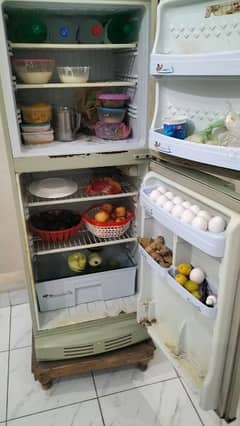 pel fridge