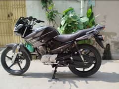 Yamaha YBR 125 2015 MODEL