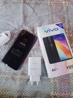 vivo