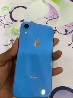 iPhone xr