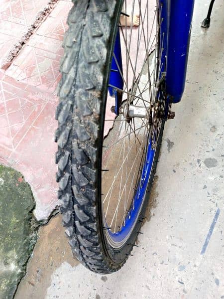 Caspian Mountain Bike, Dual Shocks with Disk Brakes & Gears 12