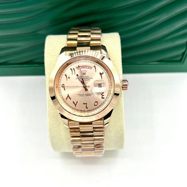 Rolex and Audemars Piguet Brand 3