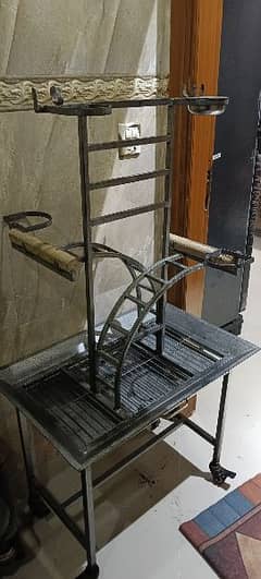 parrot stand