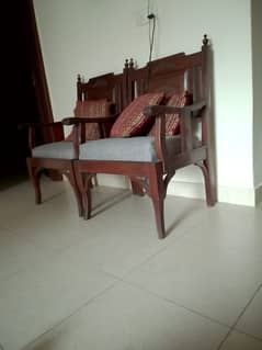 Sheeshm wood chairs