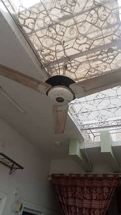 ceiling fan for sale