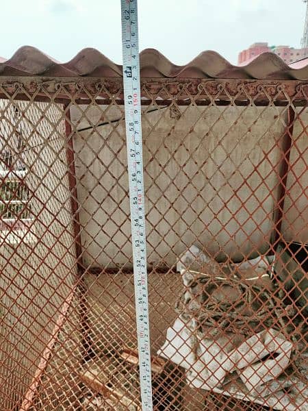 Hen cage for sale 6