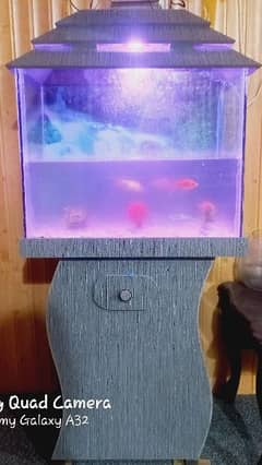 Aquarium with Oxygen pump and multi color Light