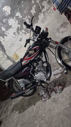 honda 125