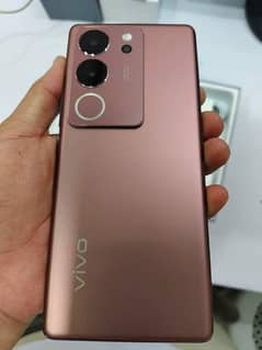 vivo v29 12/256 GB 03240537819 My WhatsApp number