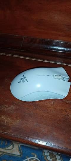 Razer Deathadder Essential (White)