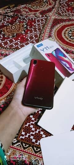 Vivo y  11