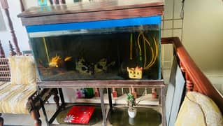 Aquarium For sale 4 feet