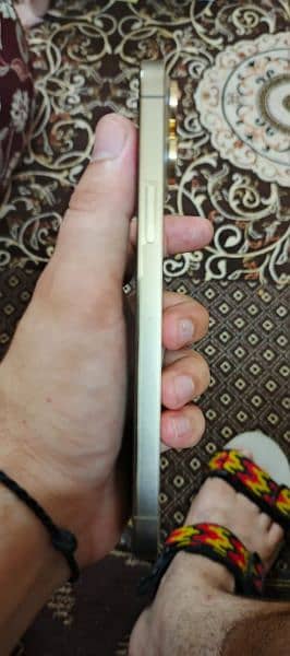 iPhone 13 pro max 1