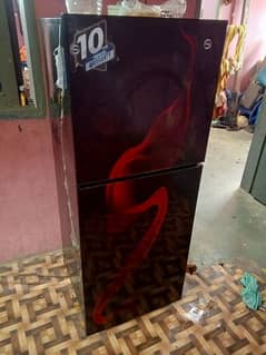 pel glass door fridge medium size