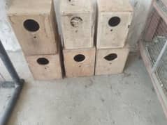 6 Box 4 cocktail and 2 love birds box price 230 per pice  2 cage price