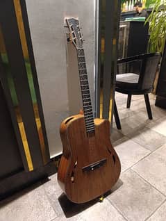 Sqoe professional acoustic guitar