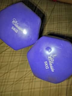 UK brand vinael dumbells Ladies dumbells