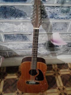 12 Strings Guitar