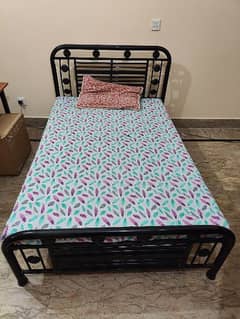 Single Iron Bed