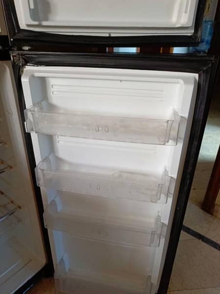 Pel fridge for sale 1