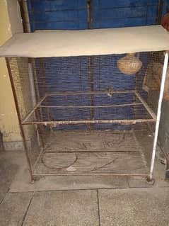 Big Iron Cage For Sale in Lahore