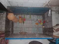 cage for sele