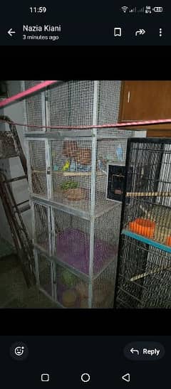 2.5×2 feet cage in lush condition Sirf safai honi hai