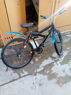 Rs. 16 Bicycle for youngs