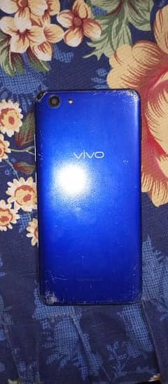 vivo