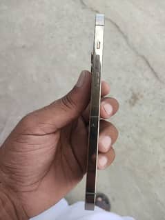 iphone 12 pro max 256 PTA approved