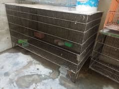 Hen Cages - pinjray available