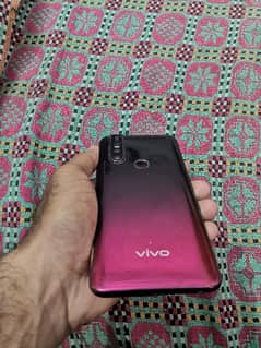 Vivo