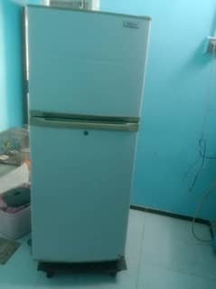 Orient fridge