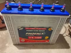 Phoenix tall tubular battery