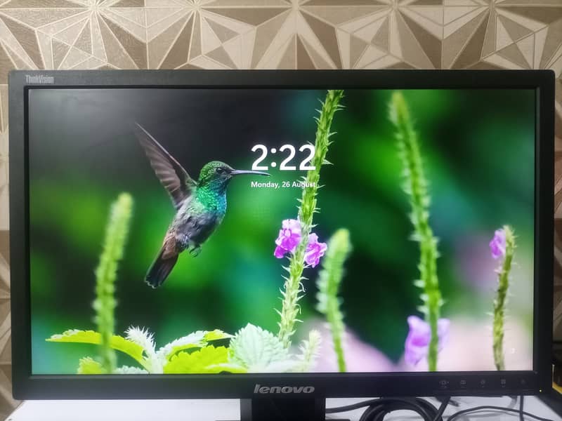 Lenovo IPS Led 1080p FHD Monitor 0