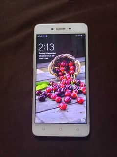 oppo a37 with box for sell