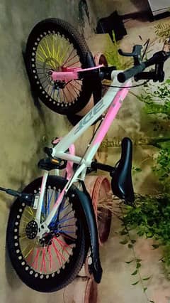 BDF Cycles 10 to 15 year child used 0