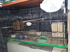 birds cages for sale