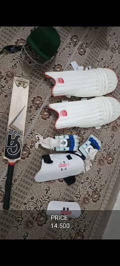 Hard Ball Cricket Kit